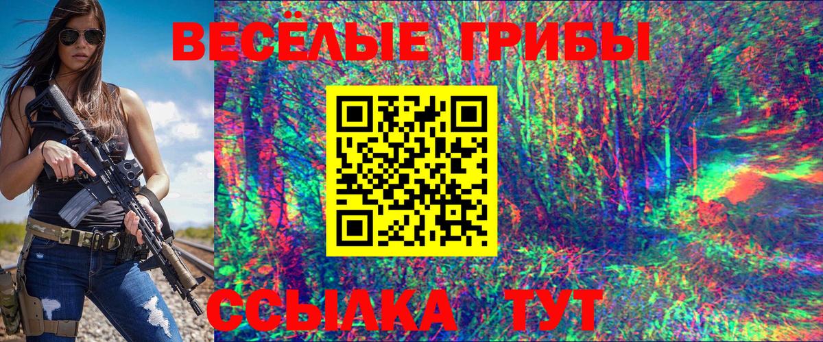 Псилоцибиновые грибы Psilocybe Курск